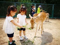 -北京麋鹿生态实验中心