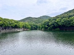 -白马涧龙池景区