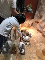 点击看大图 -宝燕乐园(闵行旗舰店)