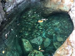 -天门沟九州驿站树上汤泉