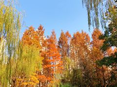 -苏州河梦清园环保主题公园