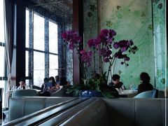 -唐阁海景中餐厅·早茶·粤菜•生日聚餐(海口朗廷酒店)