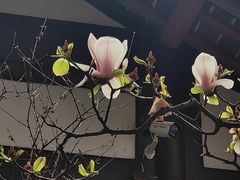 -成都杜甫草堂博物馆