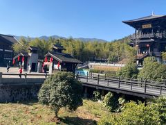 -大唐贡茶院