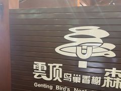 -亚龙湾热带天堂森林公园
