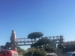 -塘沽森林公园