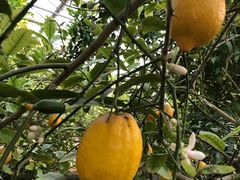 -南通洲际绿博园