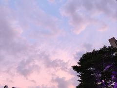 -鱼珠码头(轮渡站)