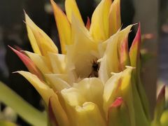 -海堤葡萄园中小学生研学基地