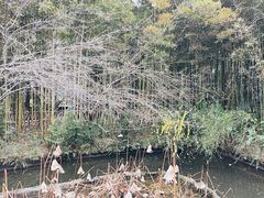 -成都杜甫草堂博物馆