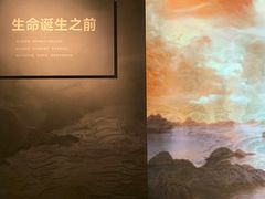 -四川大学博物馆