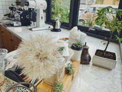 -隹木咖啡馆(宝龙广场店)