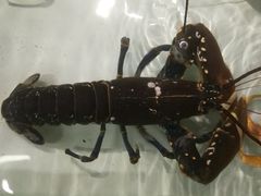 -聚鲜阁海鲜美食城(香水湾店)