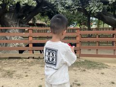 -盈香心动乐园