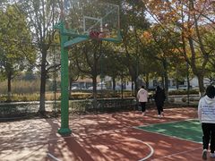 -南京理工大学紫金学院