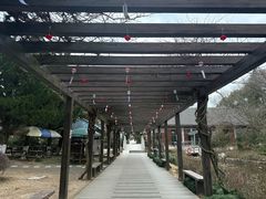 -白马涧龙池景区