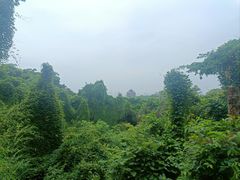 -吴山景区