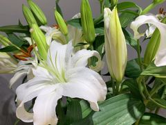 -何兮花店·气球派对鲜花店(马桥银春路万科城店)