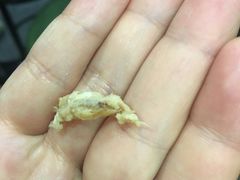 -樊记腊汁肉(竹笆市总店)