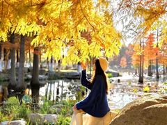 -龙口南山旅游景区