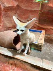 点击看大图 -Zoolung Zoolung动物主题公园(海信广场店)