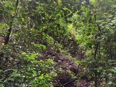 -飞霞风景名胜区