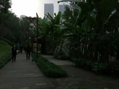 -重庆彩云湖湿地公园