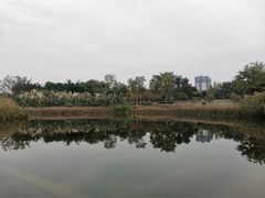 -眉山湿地公园(东坡区)