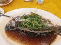 -鸿达渔港