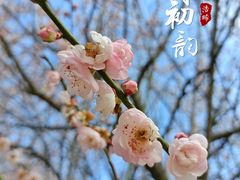 -中山市树木园