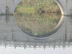 -眉山湿地公园(东坡区)