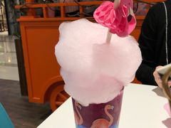 火烈鸟-随心小姐