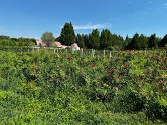 -安德鲁户外烧烤帐篷营地(马泉营店)