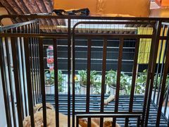 -后院儿·精酿·塔罗Happy Bar