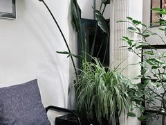 -the fall kaffe乐否咖啡