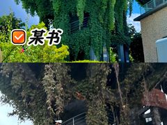 -芒洲湿地公园