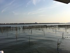 -阳澄湖半岛旅游度假区