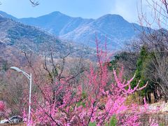 -北京鹫峰国家森林公园