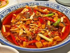 -院8里·小聚园老川菜(九眼桥店)