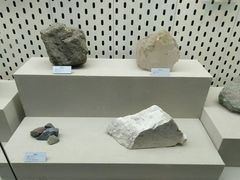 -青藏高原自然博物馆