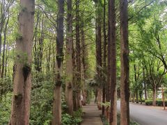 -同里国家湿地公园