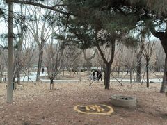 -万泉公园