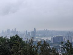 -南山植物园