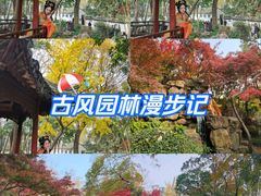 -秋霞圃