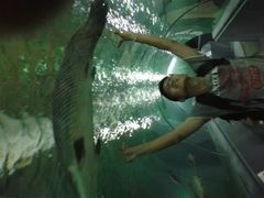 -暹罗海洋世界