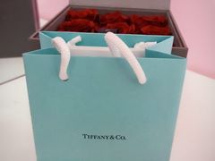 -Tiffany & Co.蒂芙尼
(天津万象城店)
