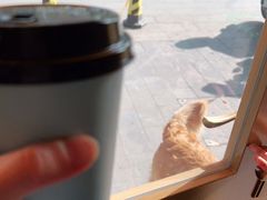 -琥珀咖啡 Ambercoffee