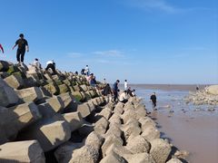 -南汇嘴观海公园