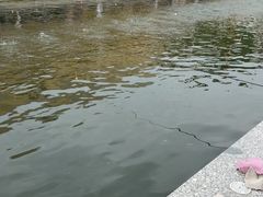 -DGE季风钓虾营地·团建·聚会