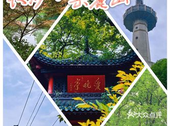 ️️长沙•岳麓山️五一避雷片